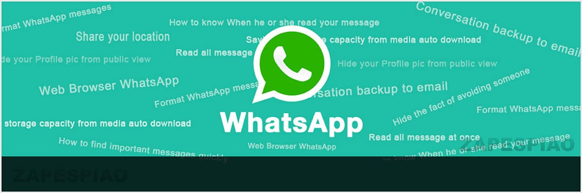 whatsapp espia contacto